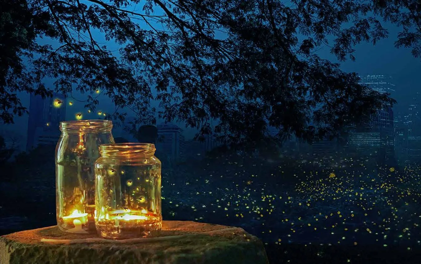 Aroma garden at night with fireflies