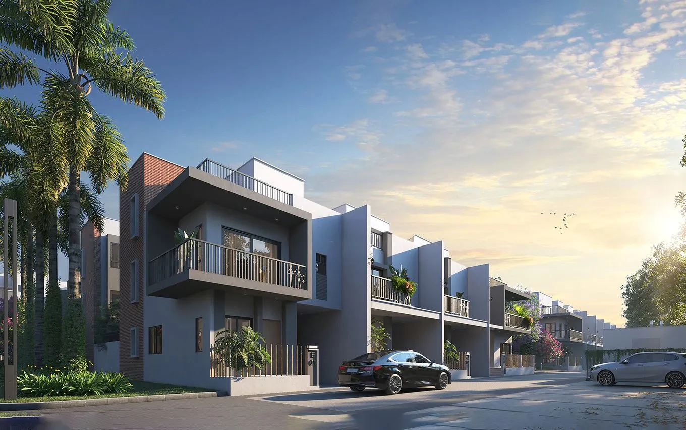 Row of villas along a palm-lined street