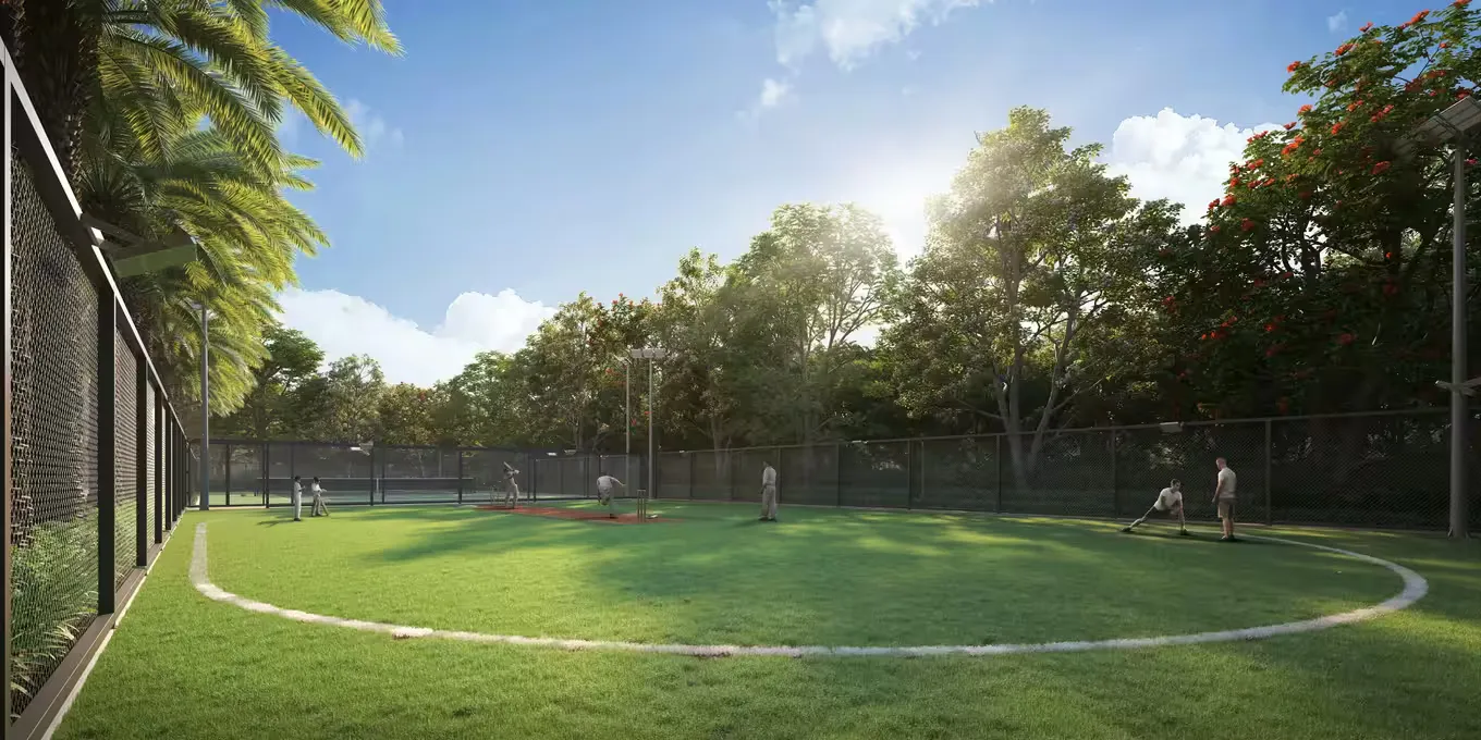 Cricket play arena